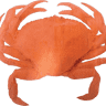 Spud Point Crab Company