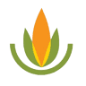 Southern Seeds Production S.A.