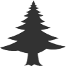 Standing Cedars Workshop