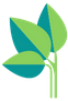 Standke Financial Services