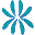 Starfish Marathon Snorkeling Tours
