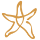 starfish store