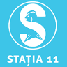 Statia 11