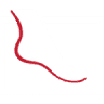 St. Cloud Foot and Ankle Center