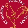 St David's Poultry Team Ltd