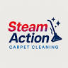 Steam Action Carpet Cleaning