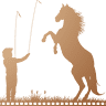 Steve Cox Equine Entertainment