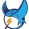 Stingray Electric and Controls, LLC