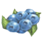 Stokes Blueberry Farms & Nursery, Inc.