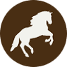 Stonehaven Hill Stables