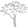 StoneRidge Dental Care