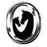 Stone Ridge Equine Care