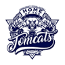 Stone High School