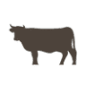 Strandquist Family Farm