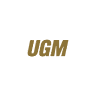 Underground motorsport / UGM