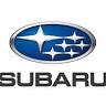 Subaru Nitra - Remesloservis, družstvo