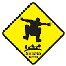Sucata Brazil