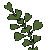 Succi recentis officinalis