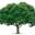 Ku-ring-gai Naturopathic Clinic | Naturopath Gordon