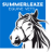 Summerleaze Vets - Farm and Equine