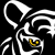 Summertown Netball Club