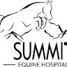 Summit Equine Hospital