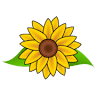 Sunflower Road Sweets