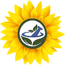 Sunflower Rx