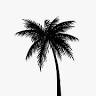 Sunny Coast Photos