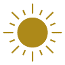 Sunshine Market