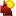 Sunstate Pest Reports