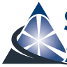 Survey Solutions Group