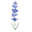 Sur Yapı Lavender Satış Ofisi