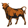 Sustain-a-Bull – Local Durham First