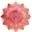 Suzanne Alexandria Enterprises LLC