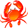 Sawai seafood