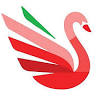 Swan Nails & Spa