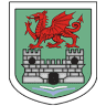 Swansea Harriers Athletics Club