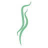 Sweetgrass Plastic Surgery & Spa - West Ashley