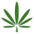 Sweet Seven Cannabis