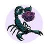 Sweet Venom Beauty Studio