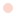 Sycamore