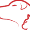 Sydney Dog and Cat Boarding - Luxury boarding kennels sydney