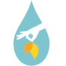 SGC Sydney Gutter Cleaning