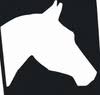 Sydney Horse Riding