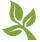 Synergy Cooperative