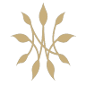 Nawa Thai Cuisine