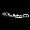 Tagliabue Gomme Gross Srl - Viterbo