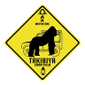 TAKIBIYA camp field