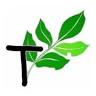 ร้านอาหารเจ ตาละลักส์ Talalaks สาขาโกลเด้นท์เพลส พระราม9(เลียบด่วน)